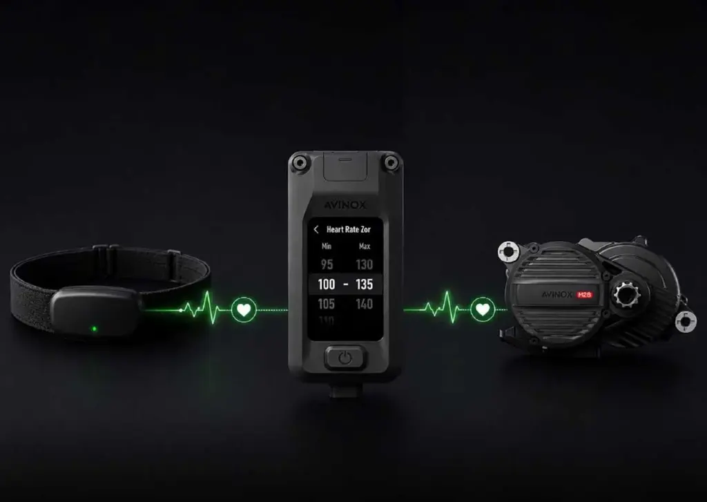 L&rsquo;assistance Avinox s&rsquo;adapte à la fréquence cardiaque du cycliste en temps réel