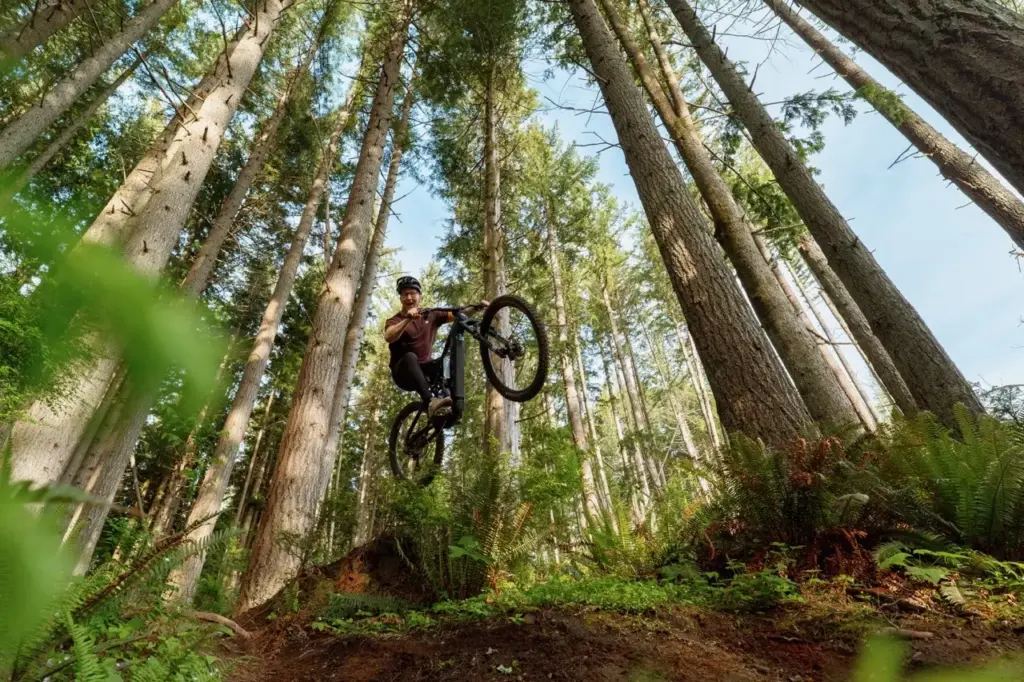 Marin cuts 1.35 kg from the Alpine Trail E and moves to a 120 Nm Bosch