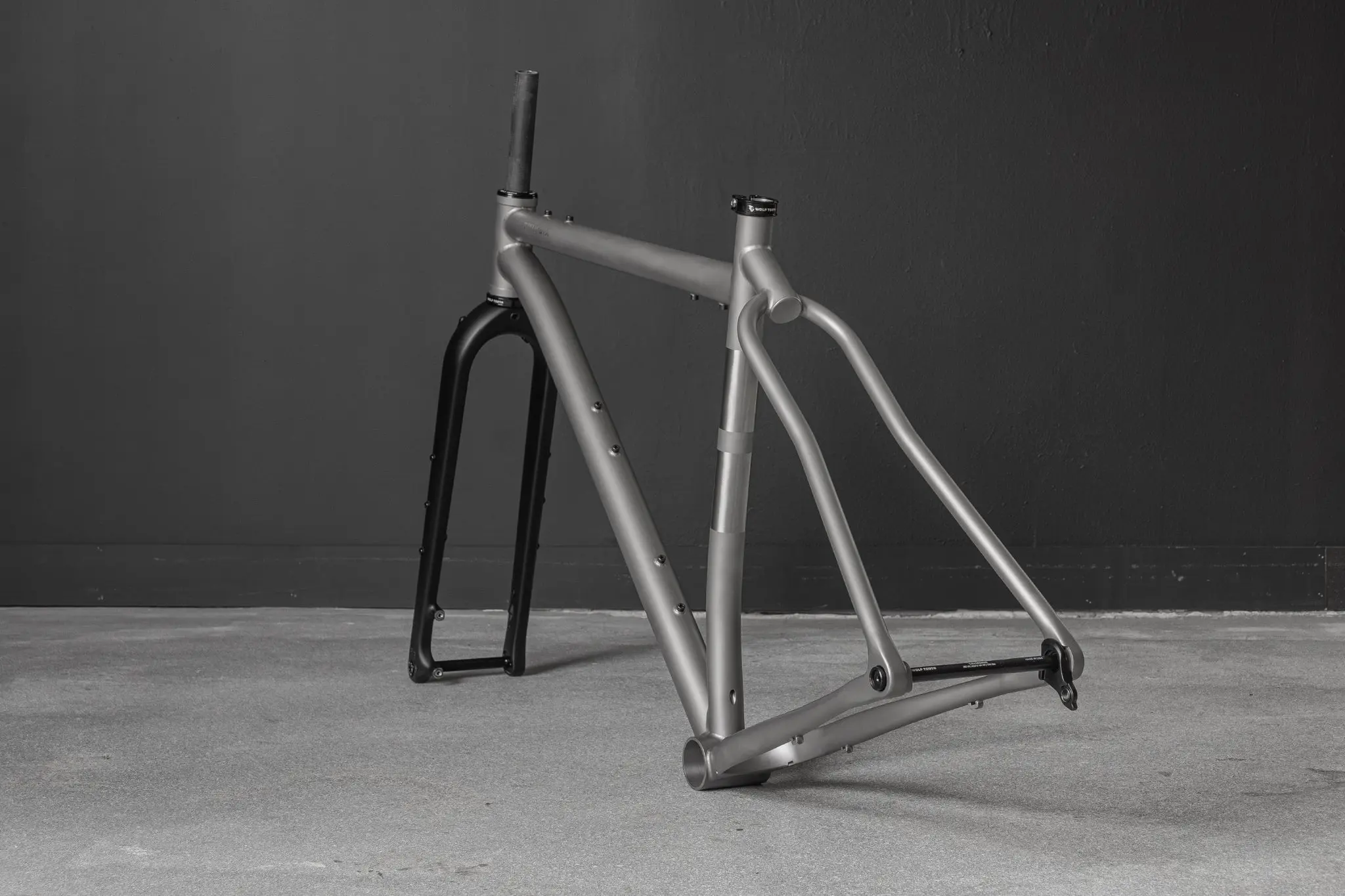 Twin Six Standard Ti 3X2 titanium bike frame seen from the front with a black fork