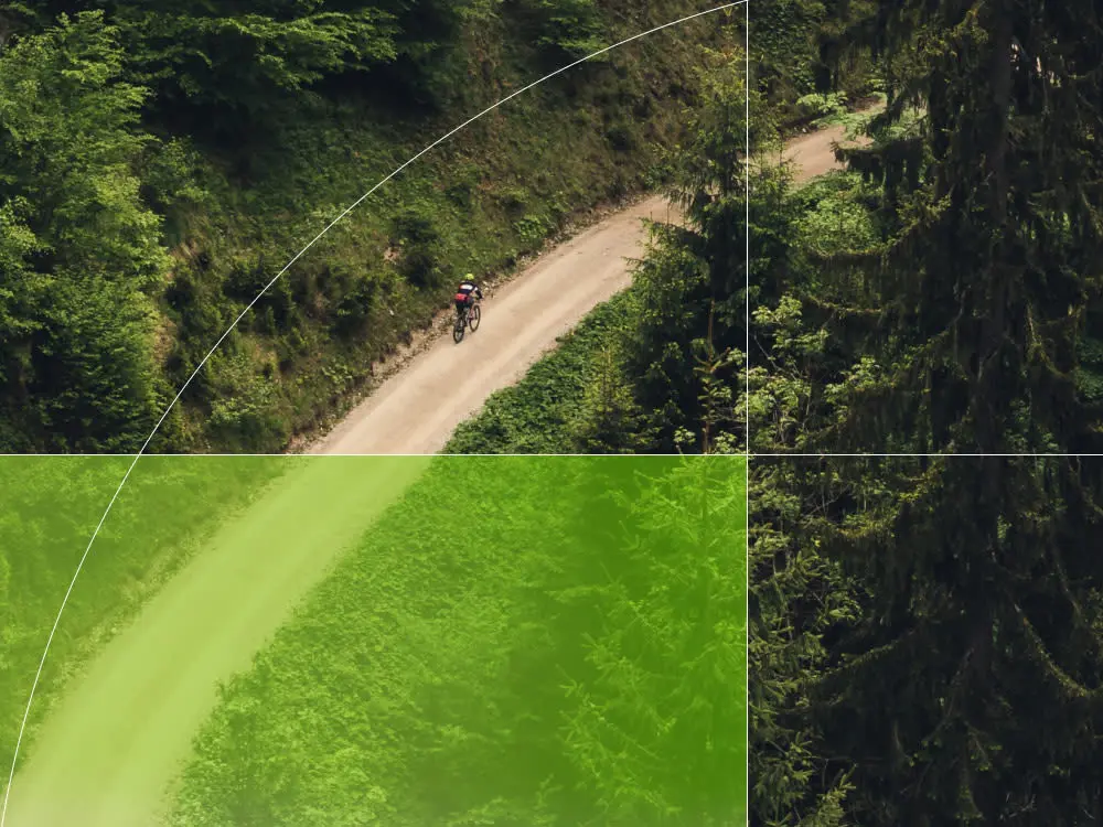 Cycliste sur un chemin forestier, visuel de la page du rapport ESG de Giant Group