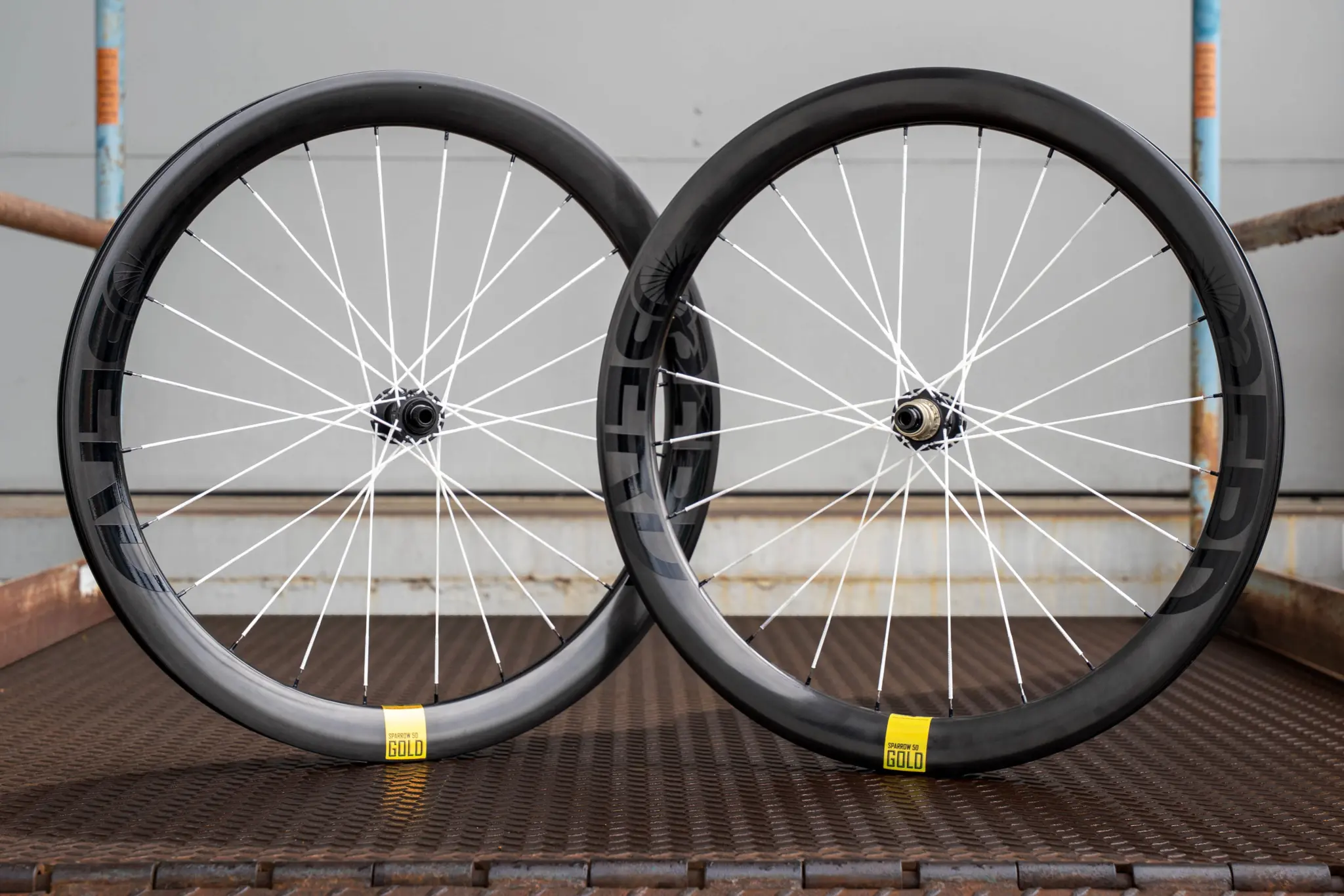 The Berd Sparrow50 Gold carbon gravel wheelset