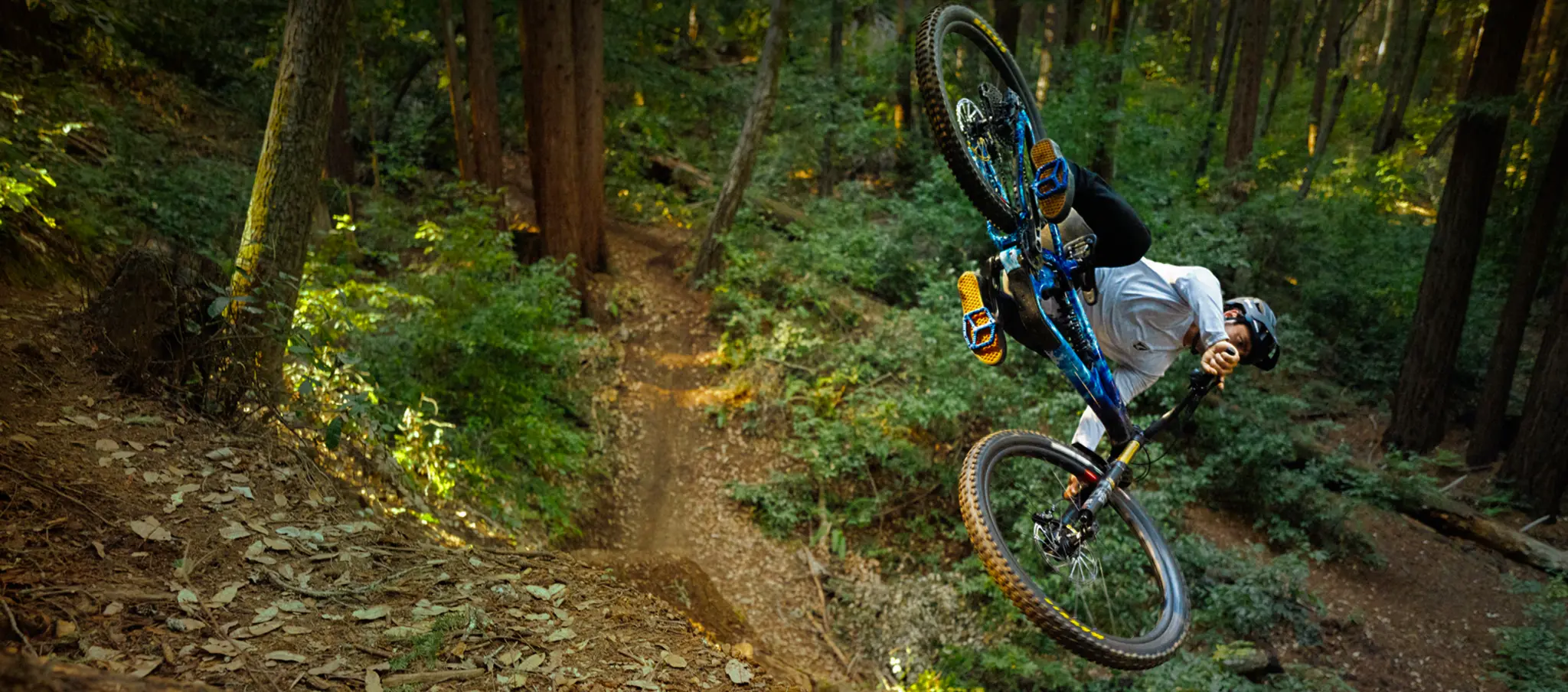 ReRide home page visual: a mountain biker with the front wheel lifted on a wooded trail