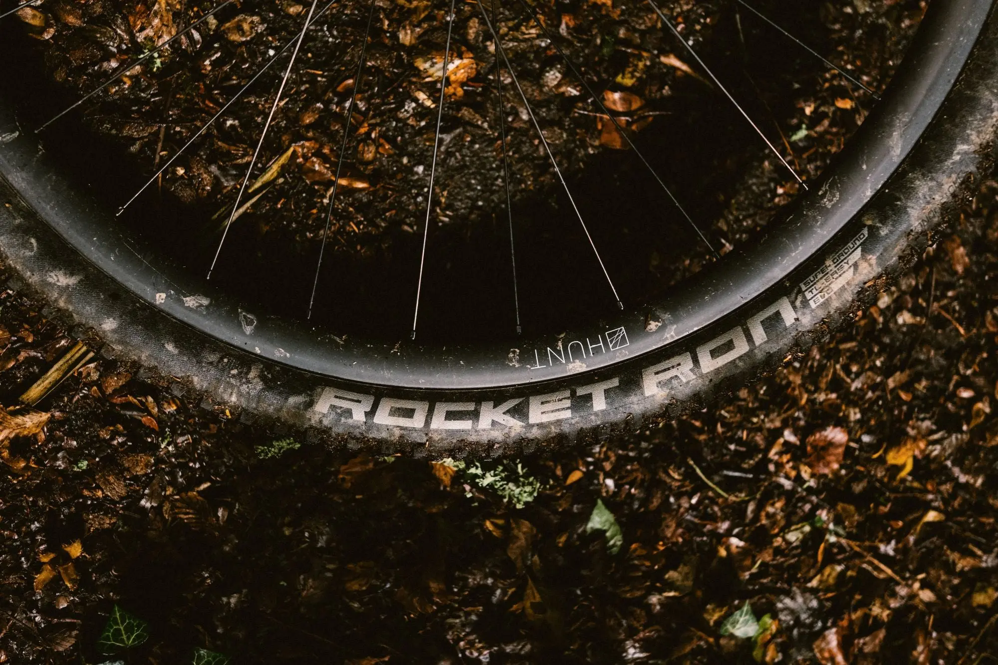 Gros plan sur la jante carbone Hunt 650B Adventure et un pneu Schwalbe Rocket Ron, posés sur un tapis de feuilles