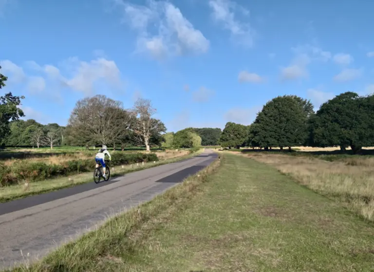 Richmond Park : des cyclistes pris en chasse par des motos électriques