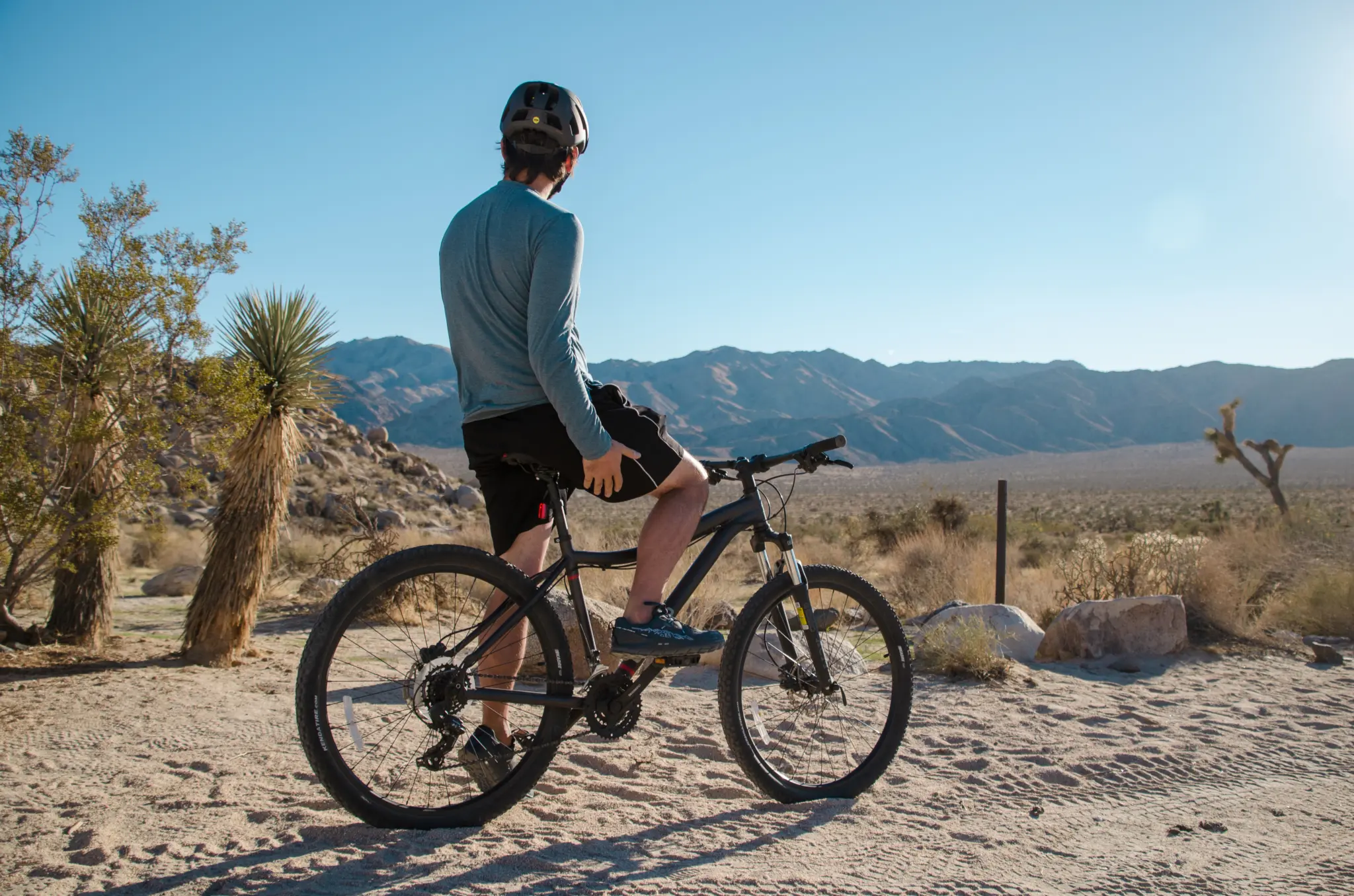 Mountain biker at Joshua Tree, one of the national parks concerned