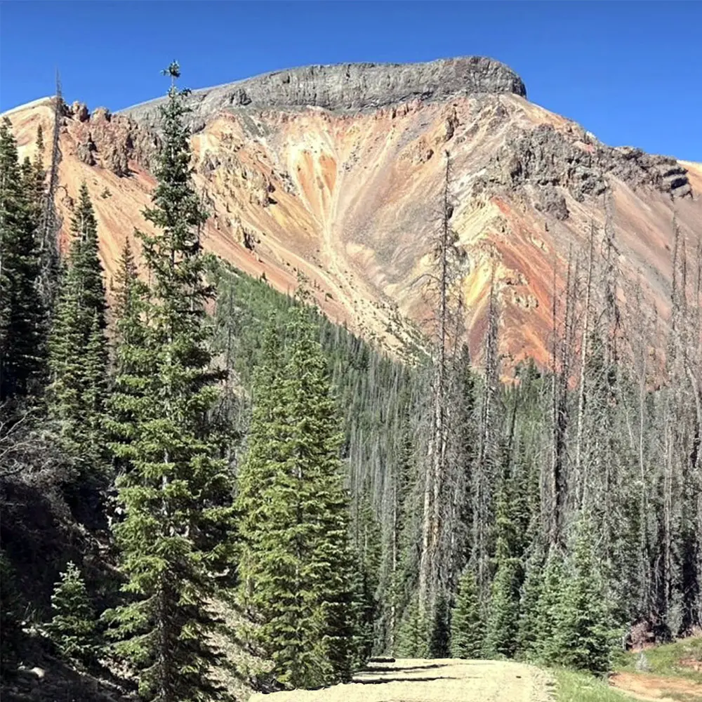 Piste en gravier sous une montagne aux pentes ocre, entourée de sapins, dans le secteur de l'Indiana Pass