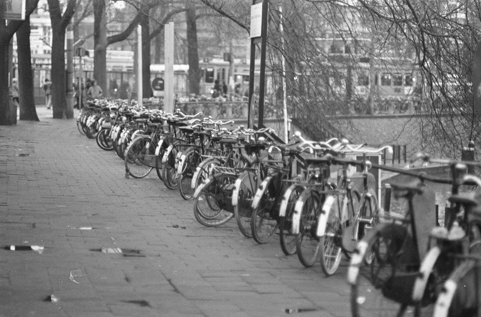 Une longue rangée de vélos garés sur un trottoir arboré devant la gare centrale d'Amsterdam, en noir et blanc